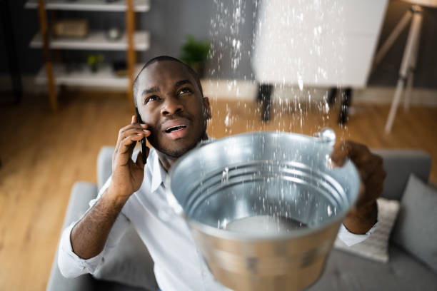 Carpet water damage restoration