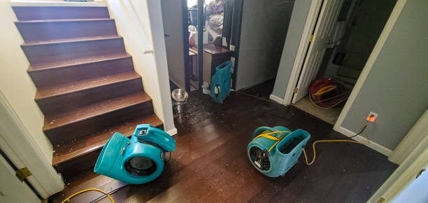 Best Commercial water damage restoration  in Jonesville, MI